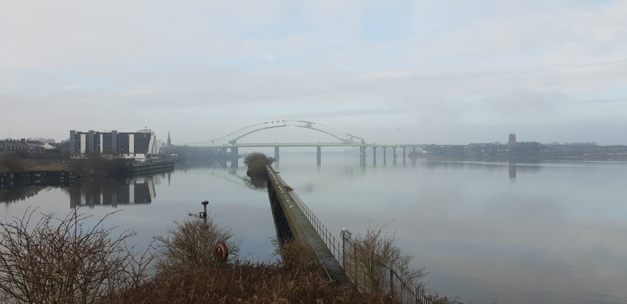 Misty