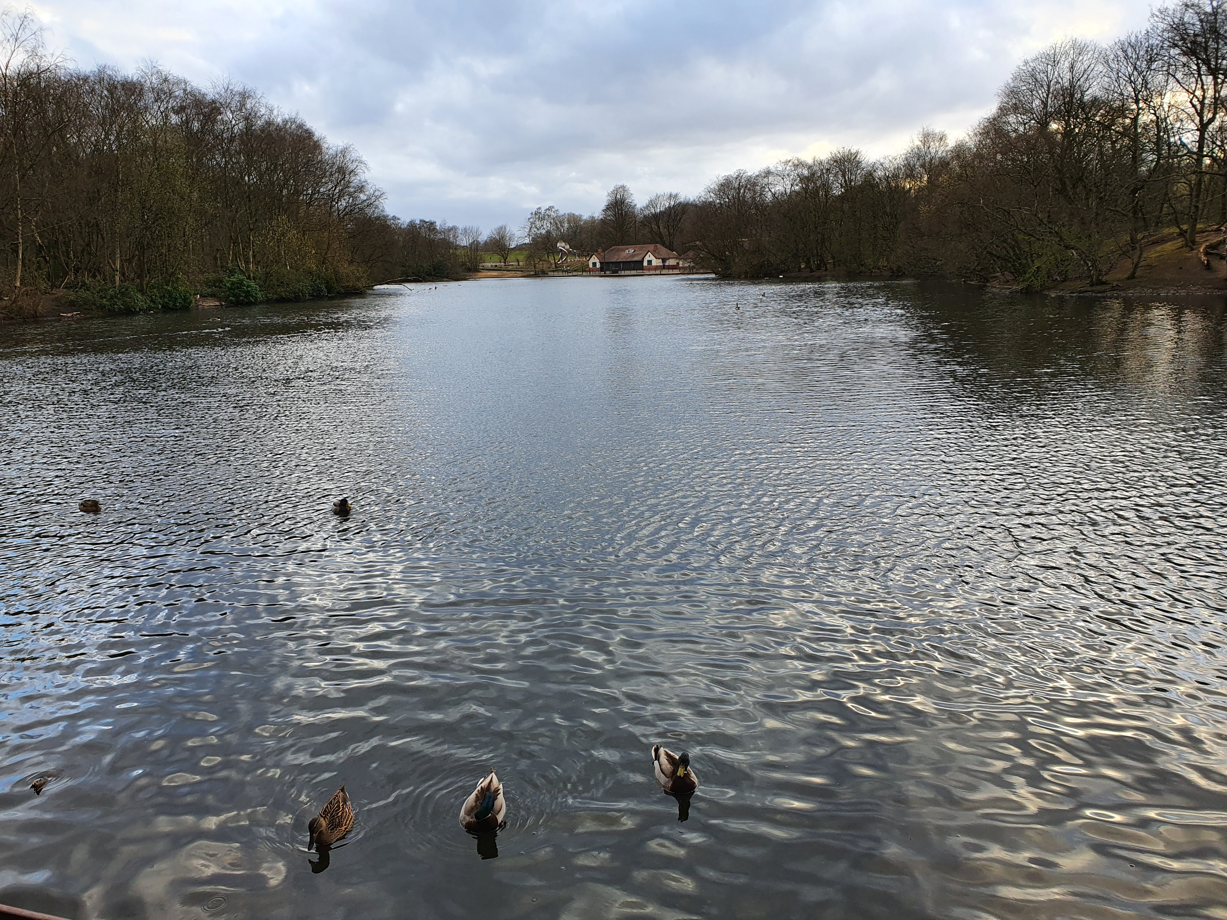Heaton park